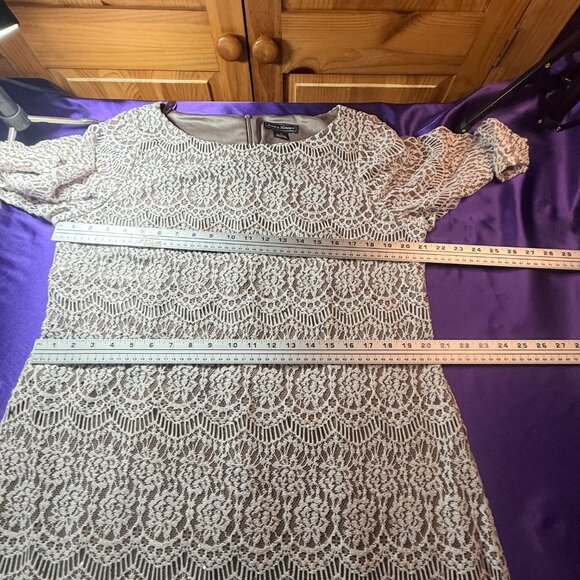 📌Jessica Howard  Beautiful Lace Knee Length 3/4 Sleeve Shift Dress w Blink - Picture 6 of 13
